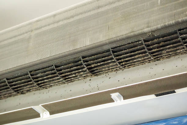 Best Air Vent Cleaning Services  in Henderson, NV